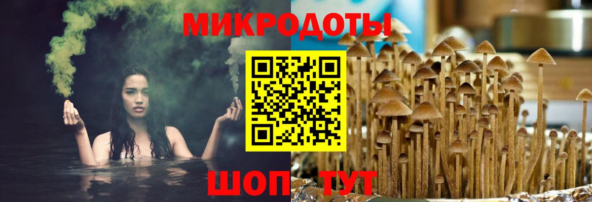 Псилоцибиновые грибы прущие грибы Заринск